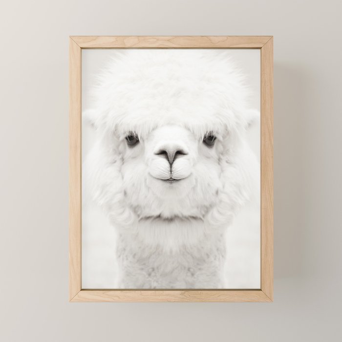 SMILING ALPACA Mini Art Print Gallery Image 1