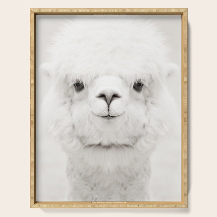 SMILING ALPACA Serving Tray Gallery Image 1