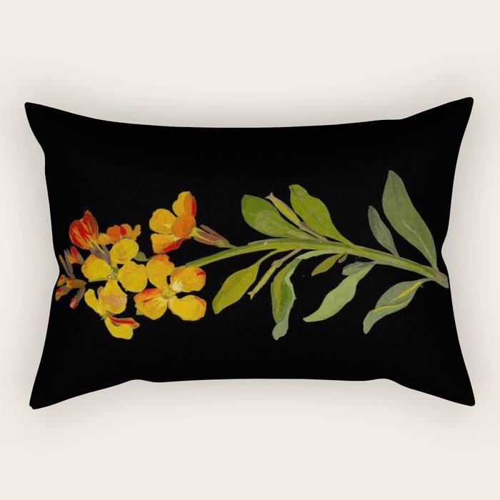 Cheiranthus Cheiri  by Mary Delany Paper Collage Floral Flower Botanical Paper Mosaic Vintage Scientific Plant Anatomy Rectangular Pillow Gallery Image 2