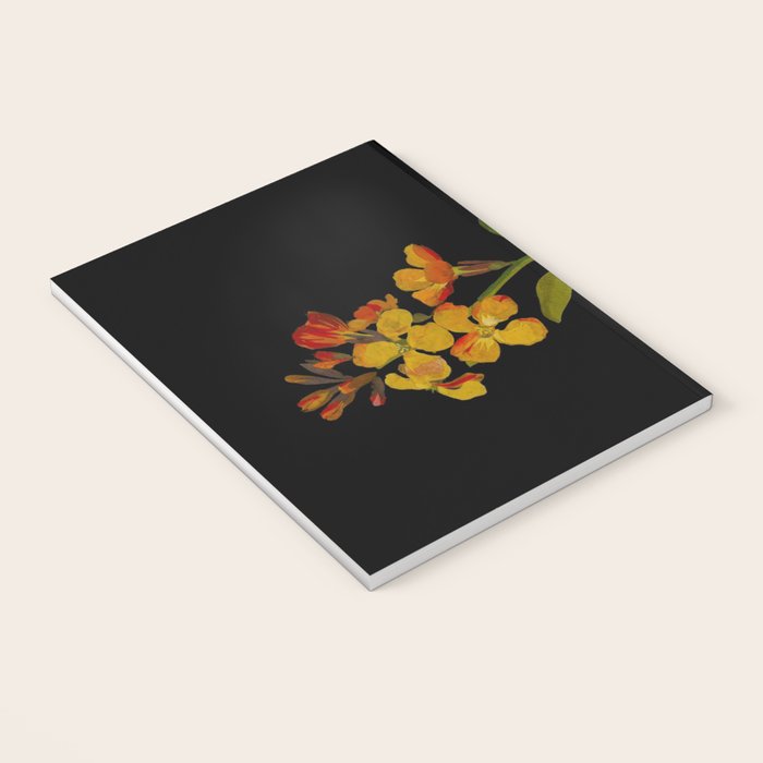Cheiranthus Cheiri  by Mary Delany Paper Collage Floral Flower Botanical Paper Mosaic Vintage Scientific Plant Anatomy Notebook Gallery Image 3
