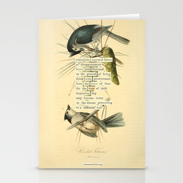 Bird Divinations: Crested Titmouse (about: almanacofbirds.org) Stationery Card Gallery Image 2
