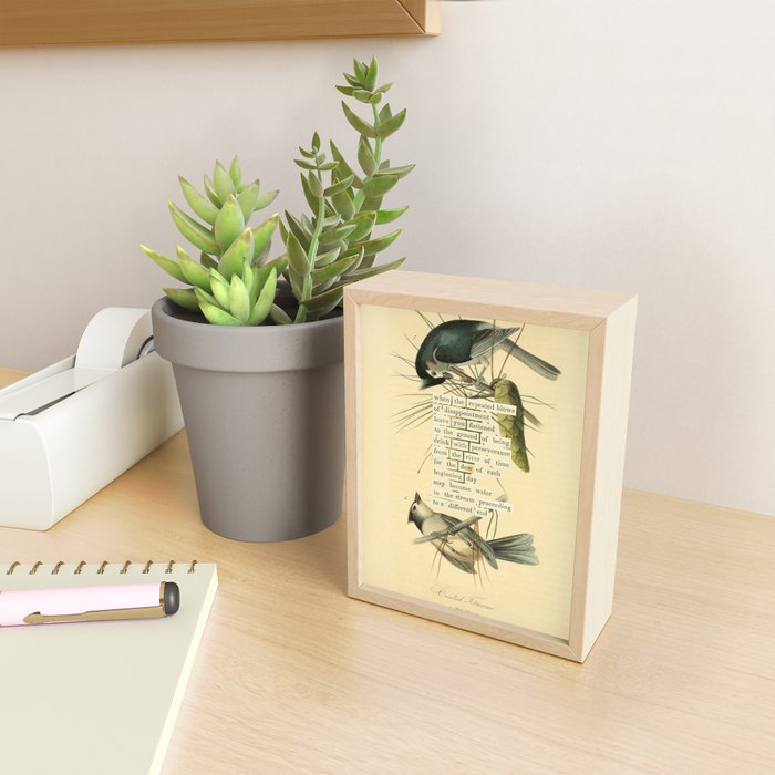 Bird Divinations: Crested Titmouse (about: almanacofbirds.org) Mini Art Print Gallery Image 2