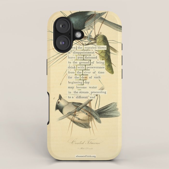 Bird Divinations: Crested Titmouse (about: almanacofbirds.org) iPhone Case Gallery Image 1