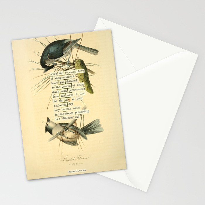 Bird Divinations: Crested Titmouse (about: almanacofbirds.org) Stationery Card Gallery Image 2