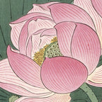 Flowering lotus flowers, Ohara Koson Coffee Mug Gallery Image 2