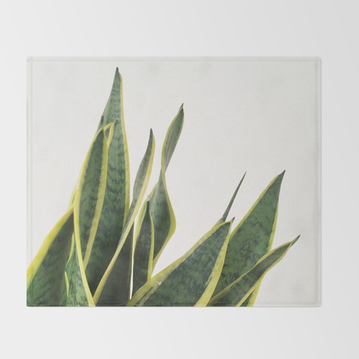 Sansevieria Throw Blanket Gallery Image 2