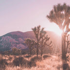 Southwest California Coffee Mug Gallery Image 2
