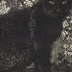The witch - Lionel Lindsay - Wood Engraving Print Black Cat Gothic Coffee Mug Gallery Image 2