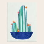 Spring Cactus Blossoms with Indigo Terra Cotta Poster Gallery Image 4