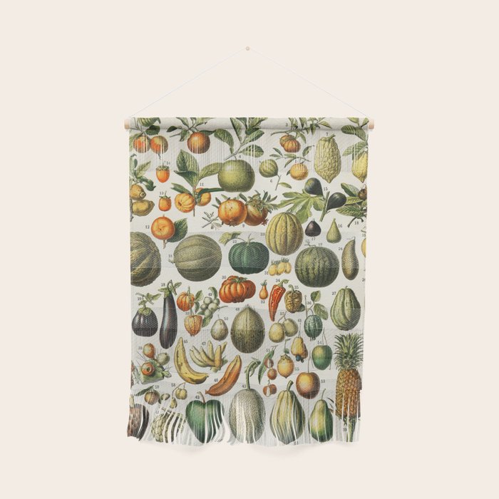Vintage Scientific Illustration Fruits Botanical Floral Lithograph Encyclopaedia Diagrams  Wall Hanging Gallery Image 1