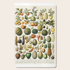 Vintage Scientific Illustration Fruits Botanical Floral Lithograph Encyclopaedia Diagrams  Cutting Board Gallery Image 1