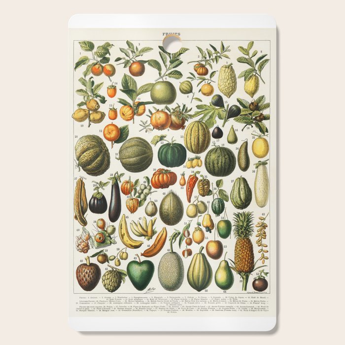Vintage Scientific Illustration Fruits Botanical Floral Lithograph Encyclopaedia Diagrams  Cutting Board Gallery Image 1