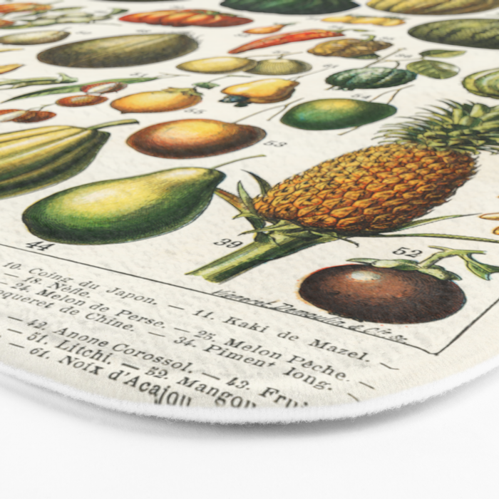 Vintage Scientific Illustration Fruits Botanical Floral Lithograph Encyclopaedia Diagrams  Bath Mat Gallery Image 3
