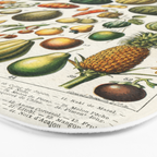 Vintage Scientific Illustration Fruits Botanical Floral Lithograph Encyclopaedia Diagrams  Bath Mat Gallery Image 3