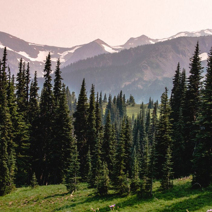 Mount Rainier Summer Adventure X - Pacific Northwest Mountain Landscape Coffee Mug Gallery Image 2