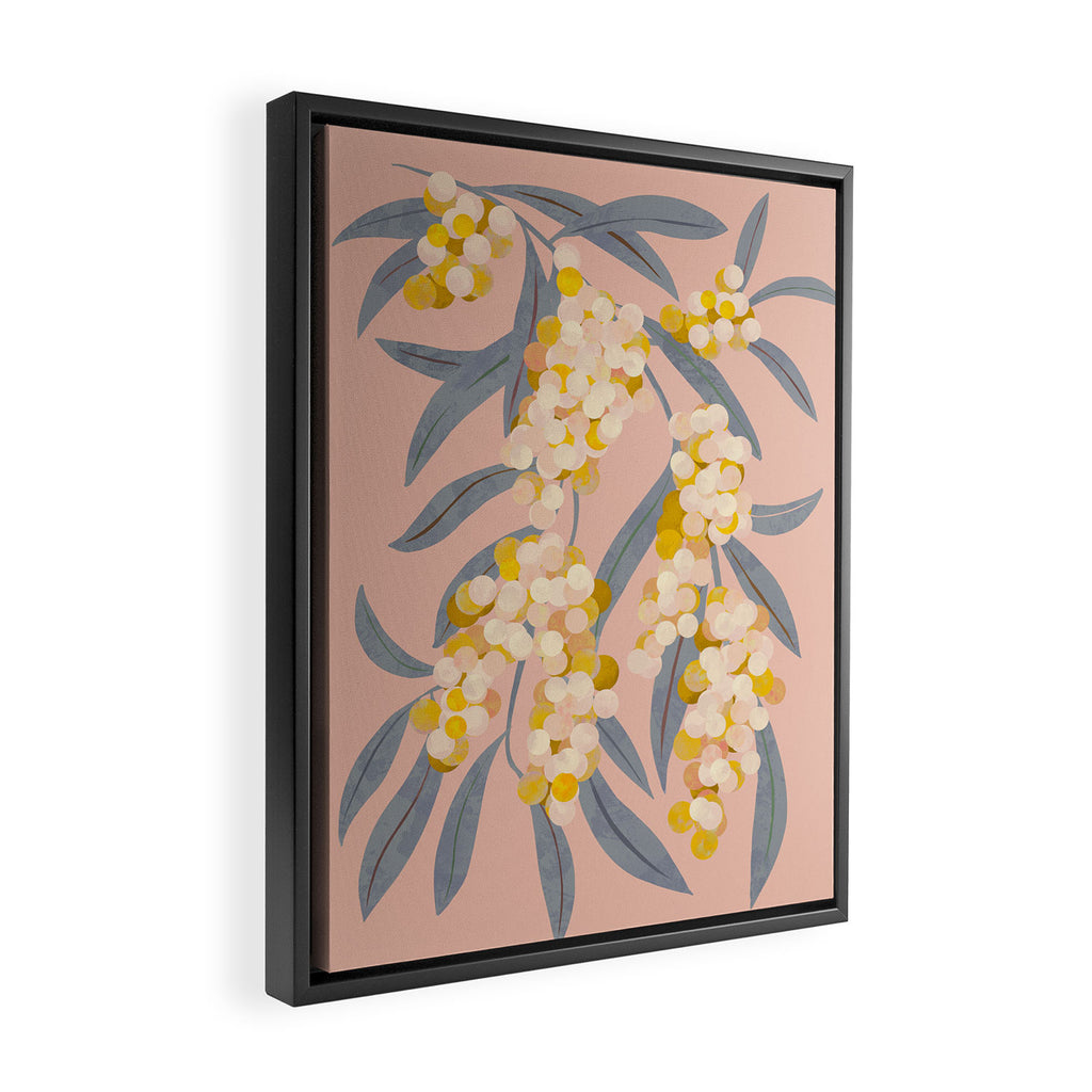  Acacia retinoides plant Framed Canvas Print Gallery Image 2