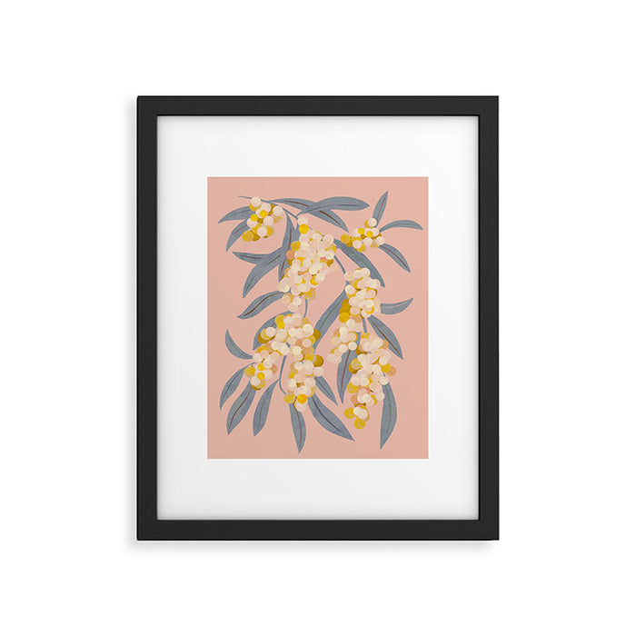  Acacia retinoides plant Framed Art Print Gallery Image 1