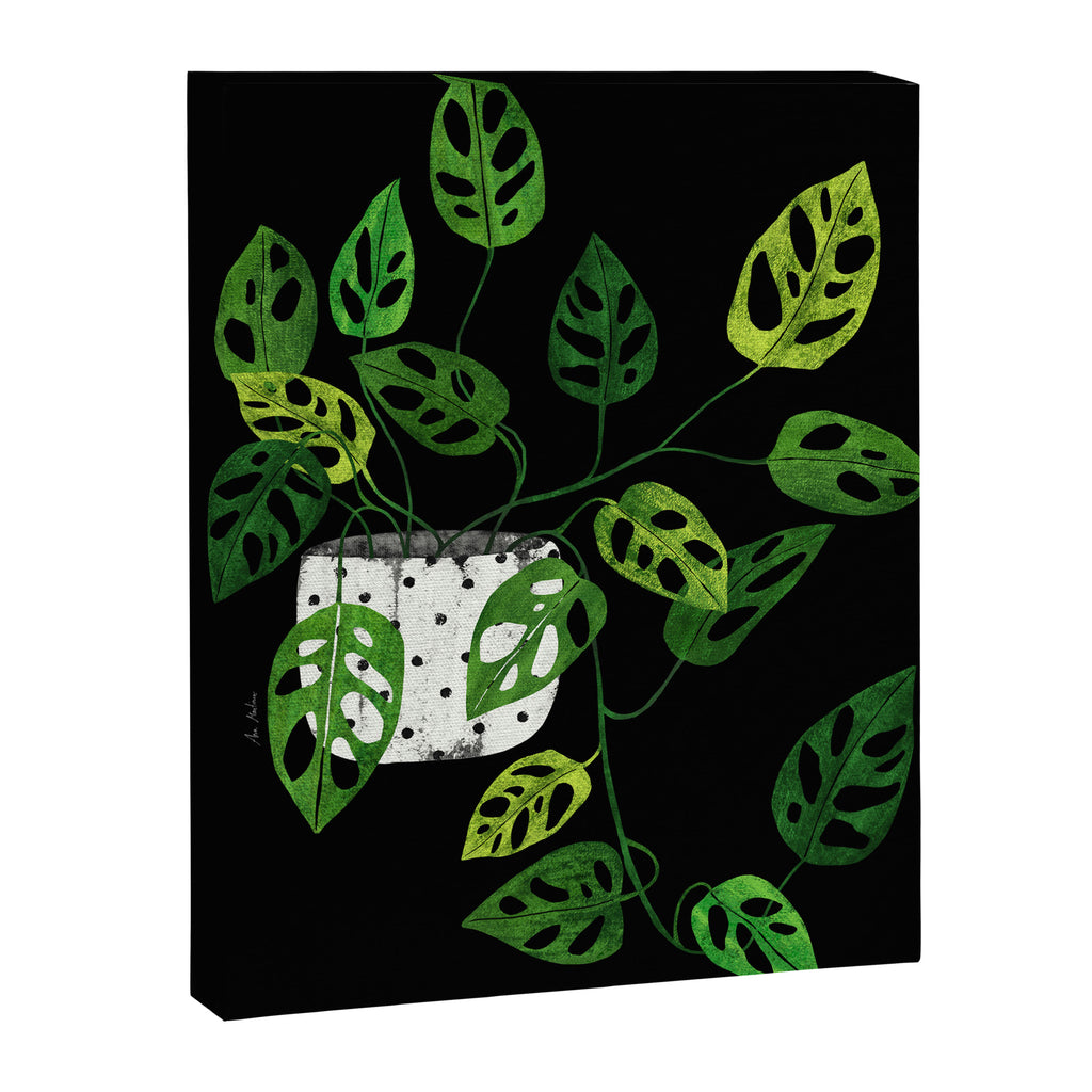 Back monstera obliqua Canvas Print Gallery Image 6