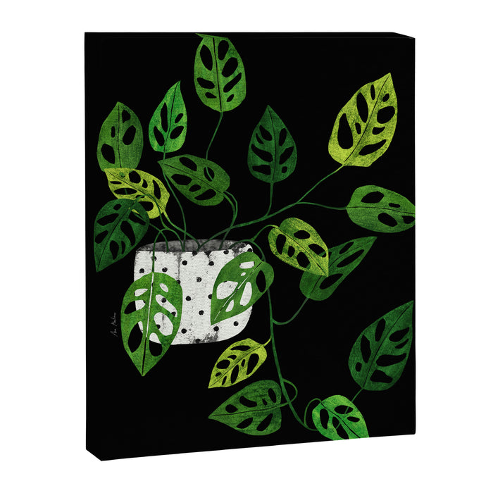 Back monstera obliqua Canvas Print Gallery Image 1