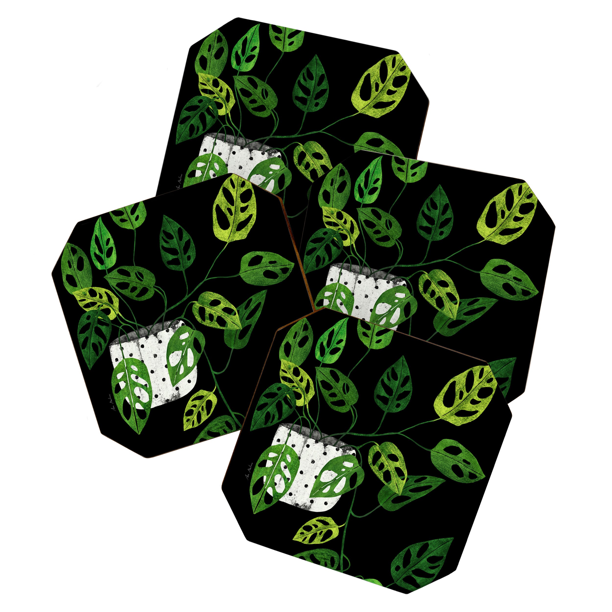 Back monstera obliqua Coaster Gallery Image 1