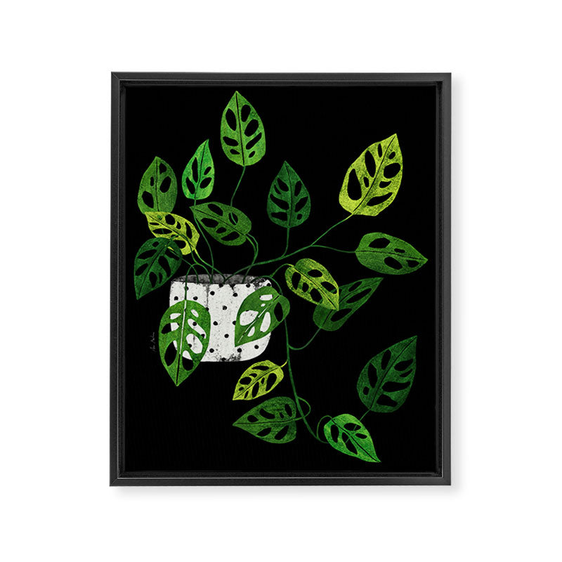 Back monstera obliqua Framed Canvas Print Gallery Image 6