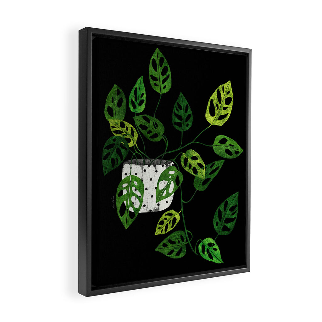 Back monstera obliqua Framed Canvas Print Gallery Image 2