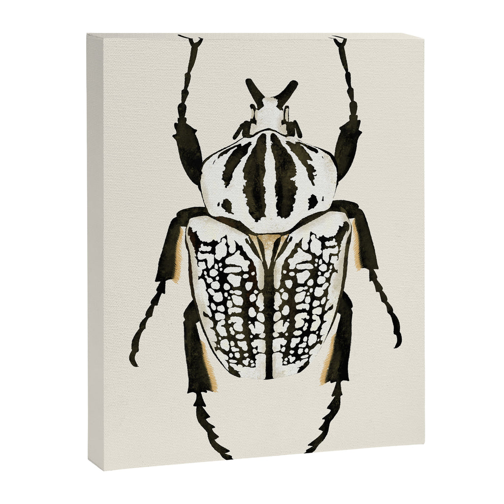  beetle insect Canvas Print Gallery Image 6