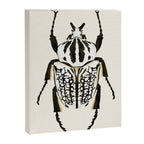  beetle insect Canvas Print Gallery Image 6