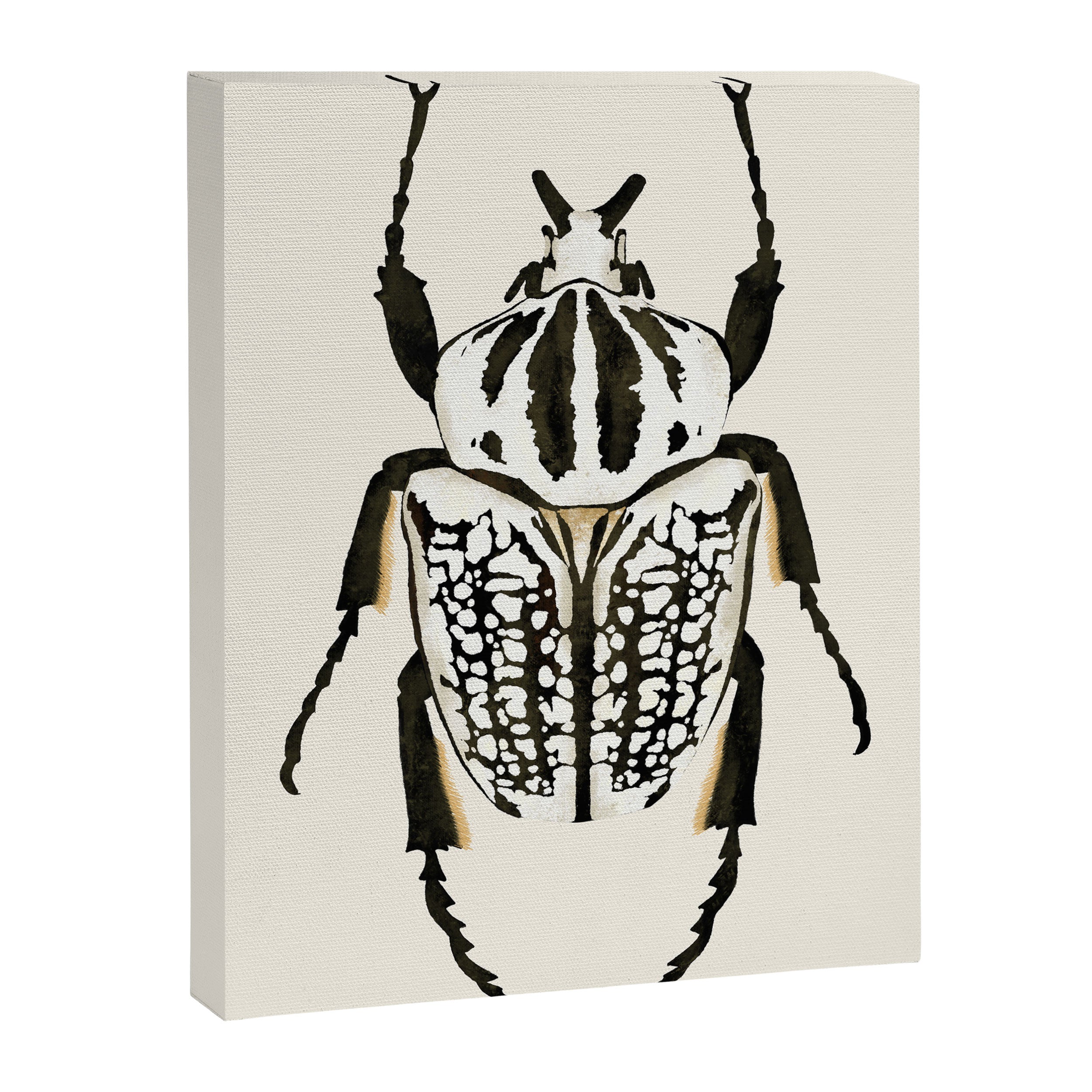  beetle insect Canvas Print Gallery Image 6