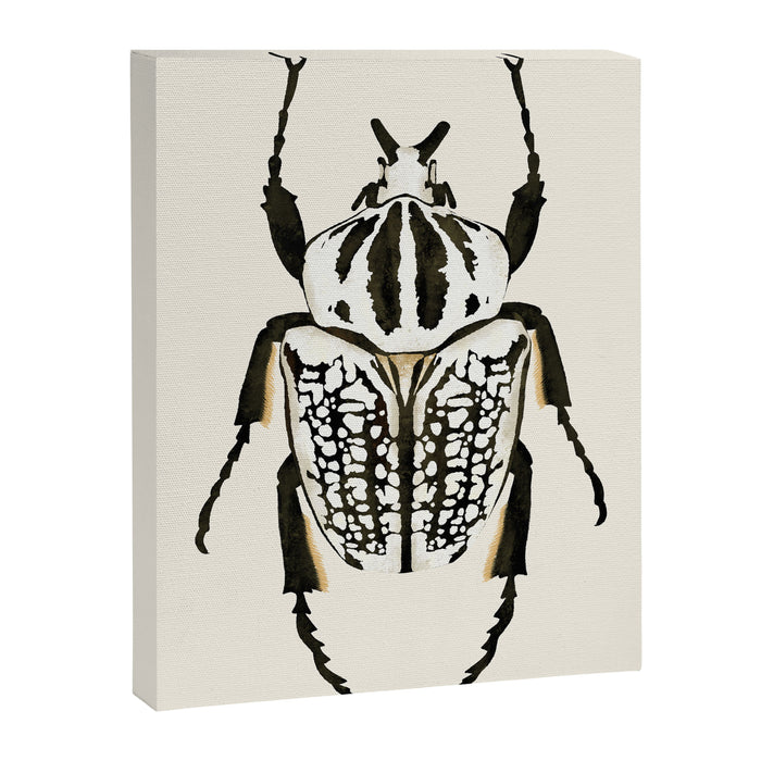  beetle insect Canvas Print Gallery Image 1