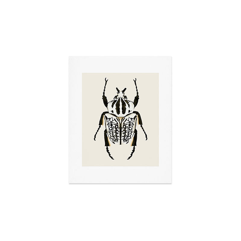 beetle insect Art Print Gallery Image 1