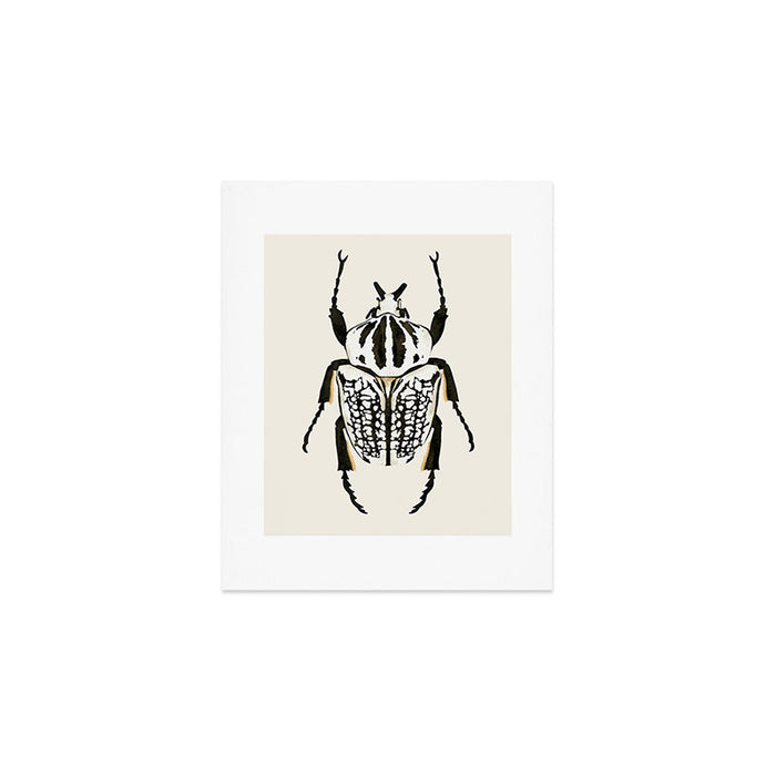  beetle insect Art Print Gallery Image 1