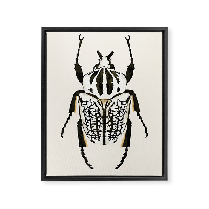  beetle insect Framed Canvas Print Gallery Image 1