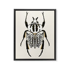  beetle insect Framed Canvas Print Gallery Image 6
