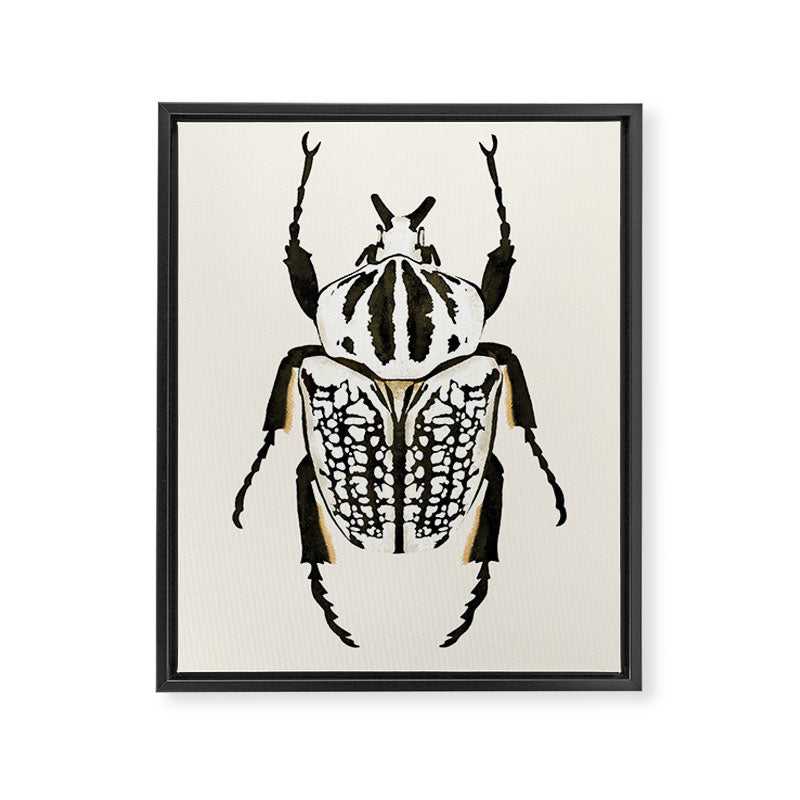  beetle insect Framed Canvas Print Gallery Image 6