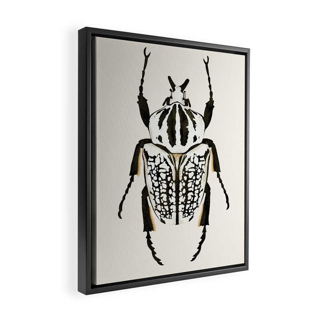  beetle insect Framed Canvas Print Gallery Image 2