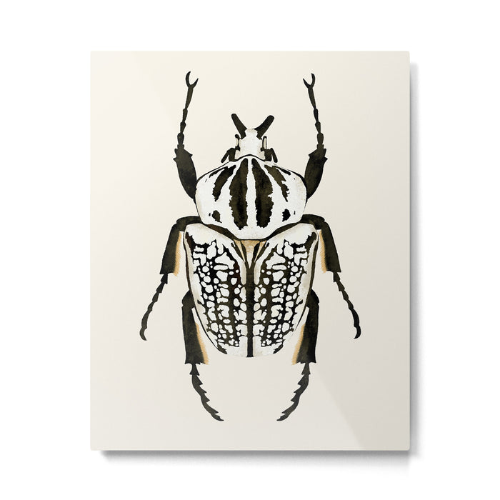 beetle insect Metal Print Gallery Image 1