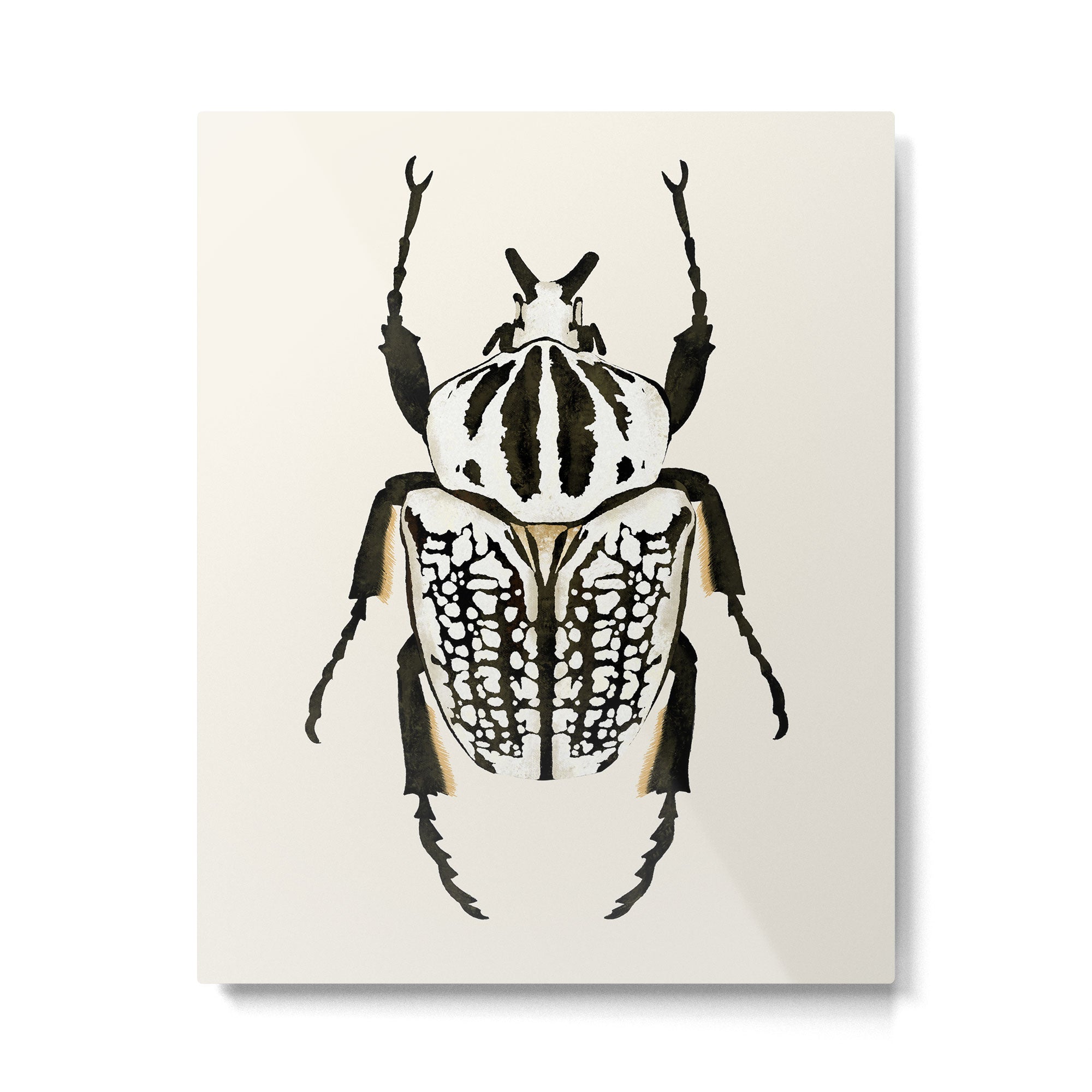  beetle insect Metal Print Gallery Image 4