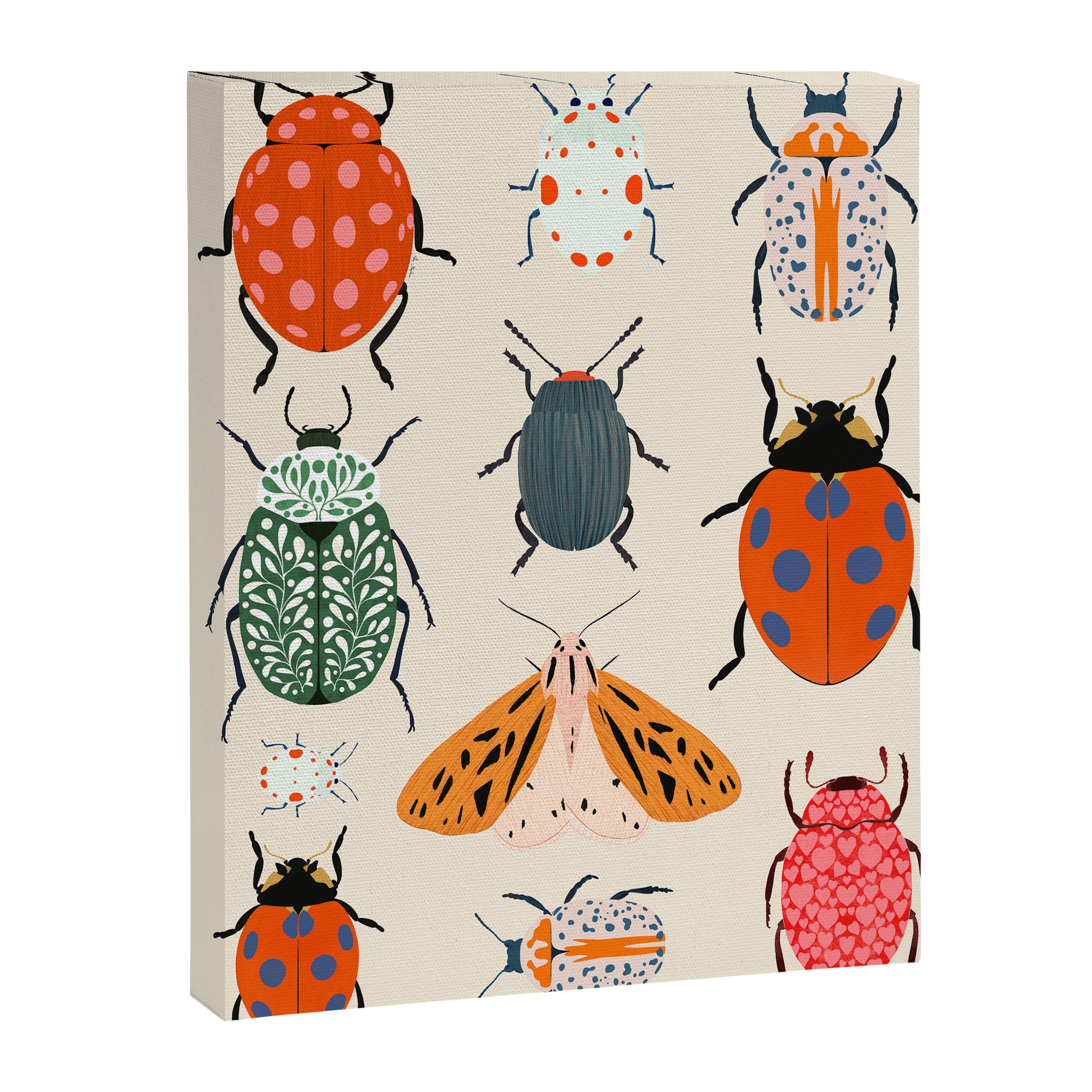 Beetles and butterfies Canvas Print Gallery Image 6