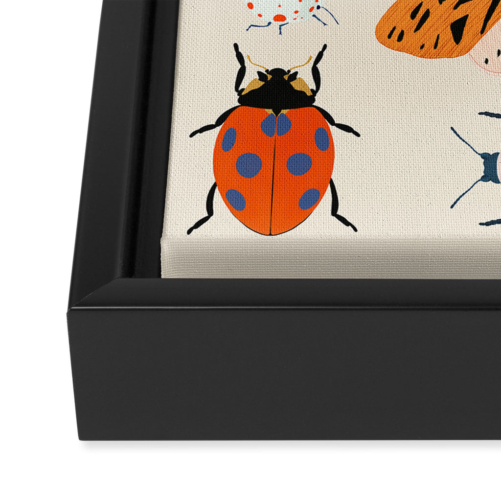 Beetles and butterfies Framed Canvas Print Gallery Image 3