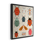 Beetles and butterfies Framed Canvas Print Gallery Image 2
