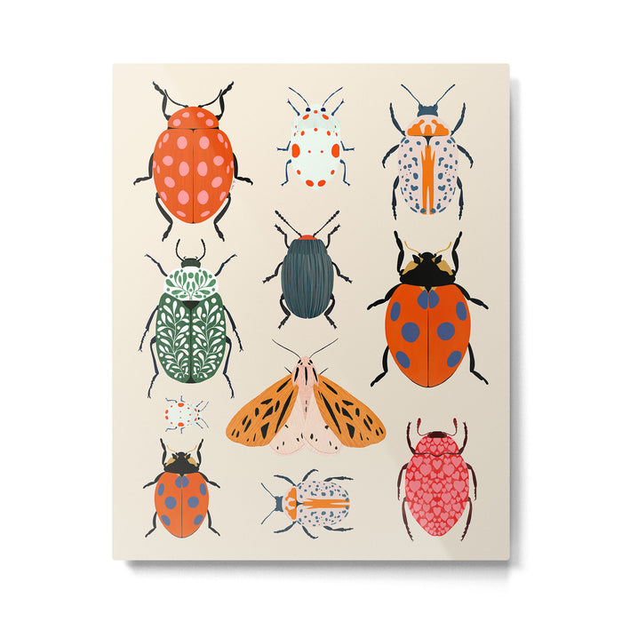 Beetles and butterfies Metal Print Gallery Image 1