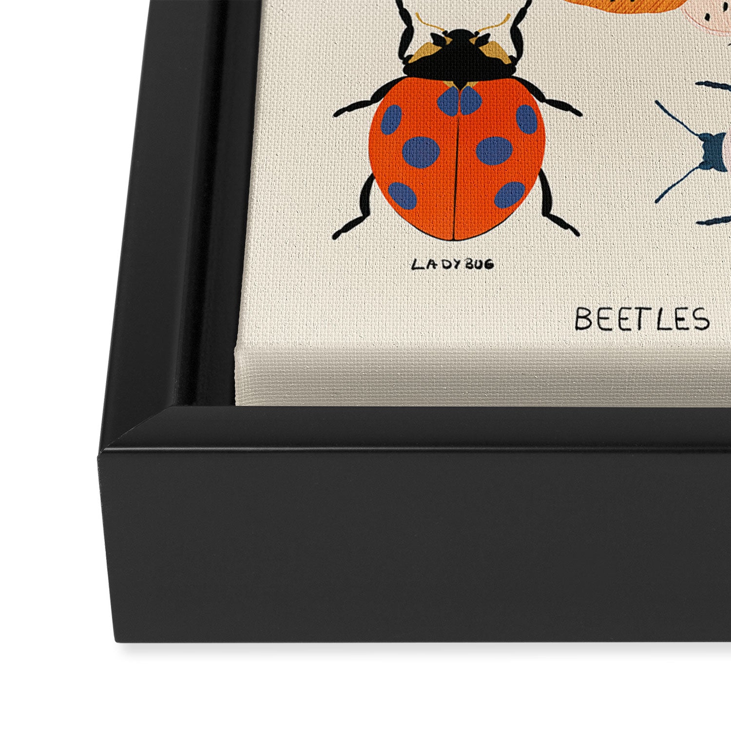 Beetles, butterflies and ladybugs Framed Canvas Print Gallery Image 3