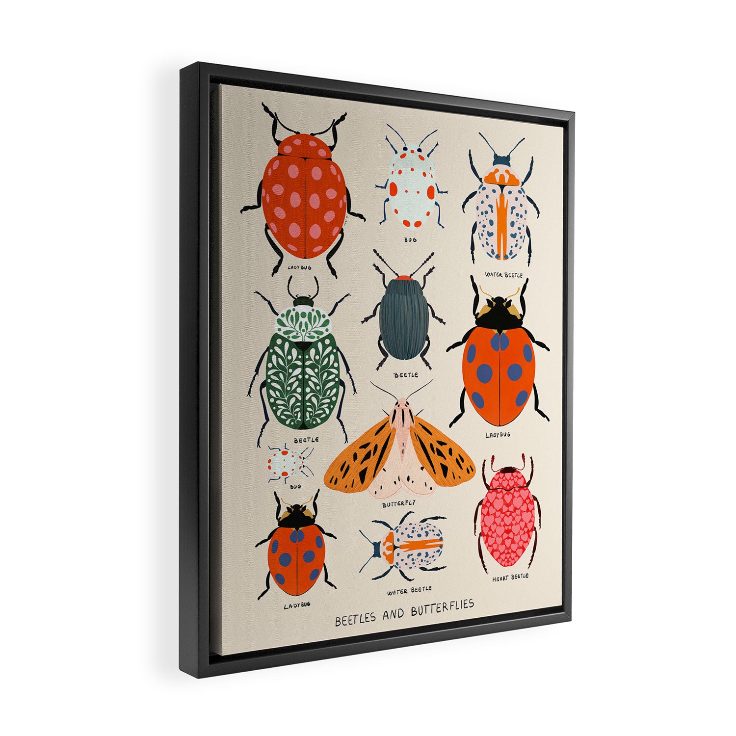 Beetles, butterflies and ladybugs Framed Canvas Print Gallery Image 2