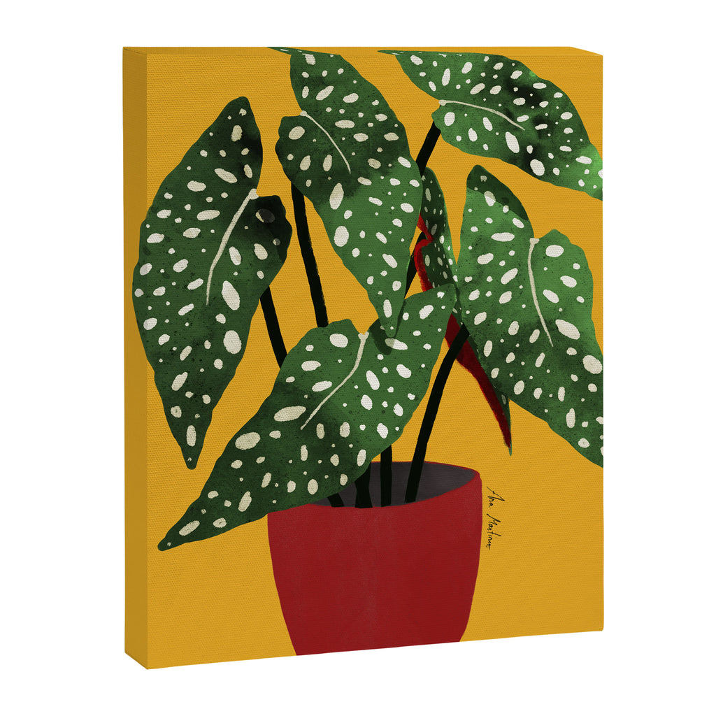 Begonia maculata pot watercolor Canvas Print Gallery Image 6