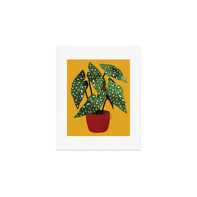 Begonia maculata pot watercolor Art Print Gallery Image 1