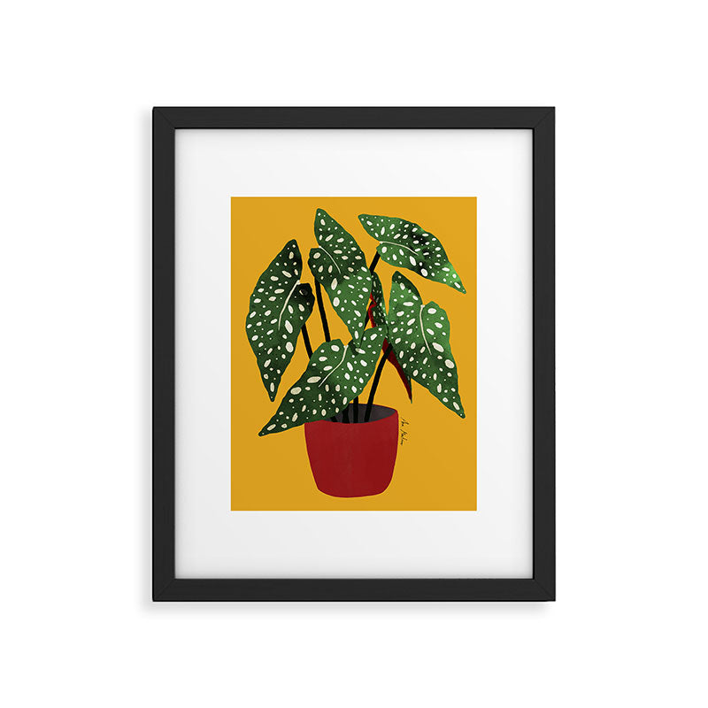 Begonia maculata pot watercolor Framed Art Print Gallery Image 5