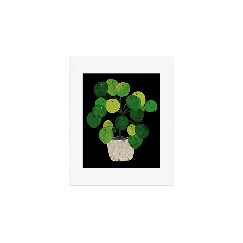 Black Pliea Peperonioides interior plant Art Print Gallery Image 1
