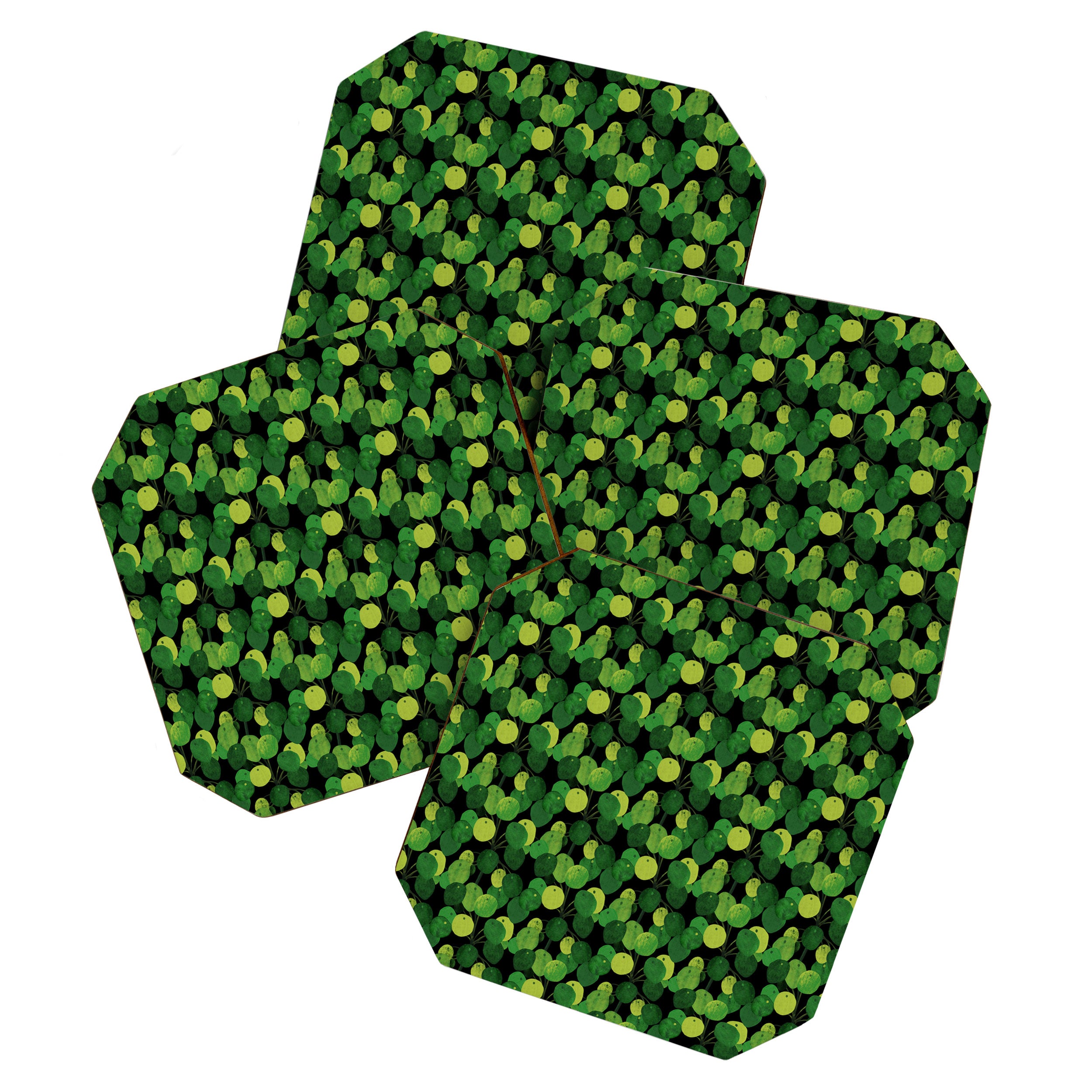 Black Pliea Peperonioides interior plant Coaster Gallery Image 1