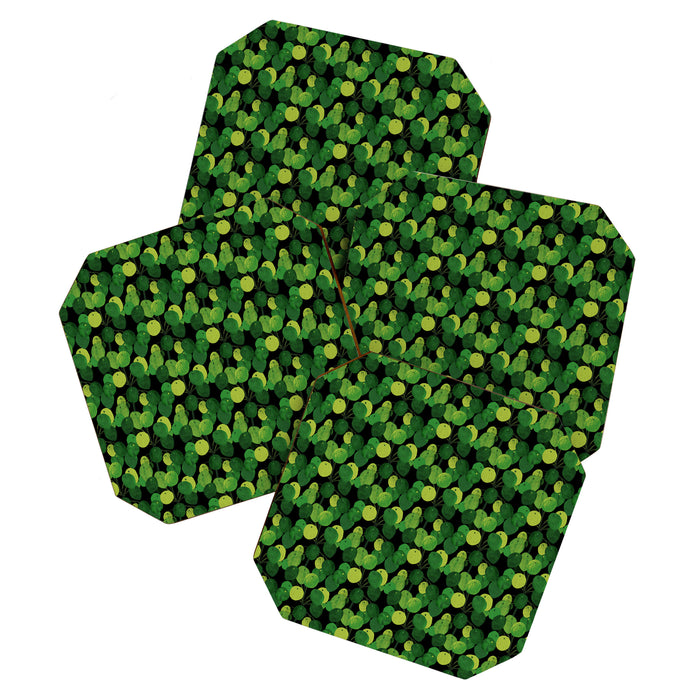 Black Pliea Peperonioides interior plant Coaster Gallery Image 1